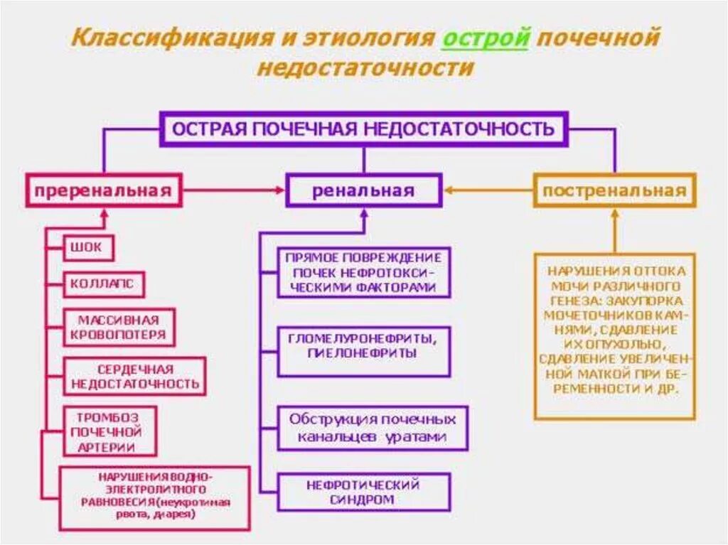 Постренальная острая почечная недостаточность патогенез. Причины постренальной формы почечной недостаточности. Причины развития постренальной острой почечной недостаточности:. Виды острой почечной недостаточности таблица. Стадии опн