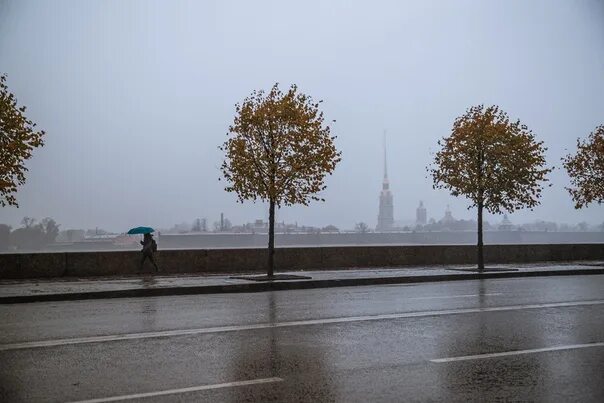 Усиливающийся ветер сильно обеспокоил людей. Усиление ветра. Порывы ветра. Усиление ветра в СПБ. Порывистый ветер будь осторожен.