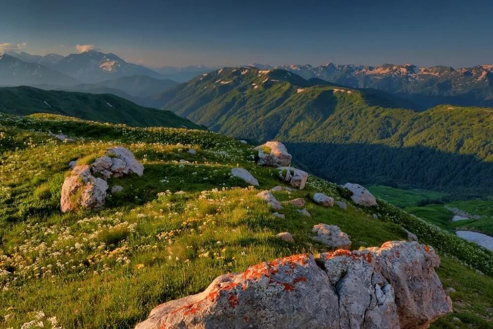 Плато Лагонаки. Плато Лаго-Наки Альпийские Луга. Плато Лагонаки на Северном Кавказе. Горы Адыгея плато Лагонаки.