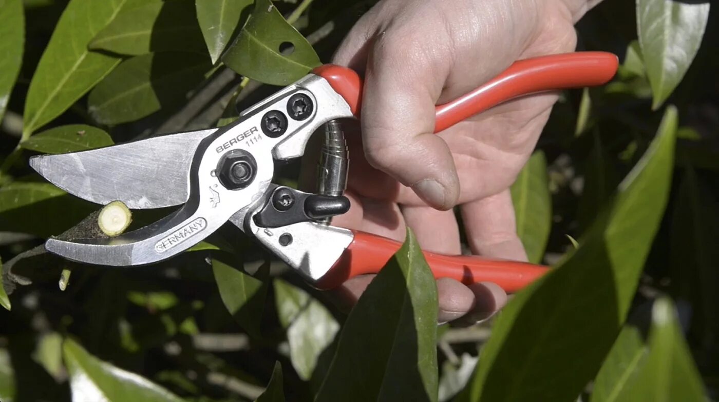 Секатор форум. 104. Секатор с наковаленкой a/s gardena (08855-20. Fiskars p961. Секатор "профи" цельнокованный, 200мм, 0040-01, vertex.