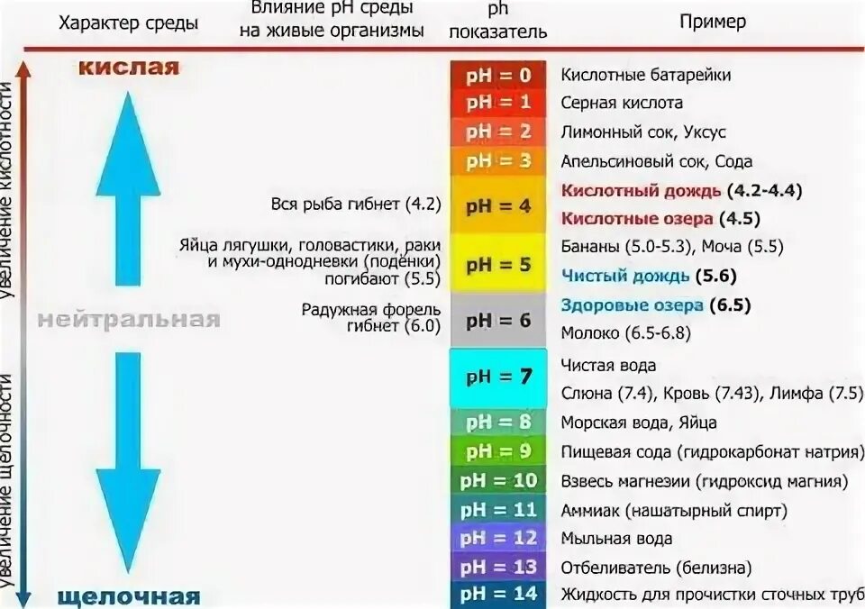 Требования к кислотности воды. PH 7 В аквариуме. Авторегулировка кислотности воды. Вода с PH 6.5. Кислотность в аквариуме