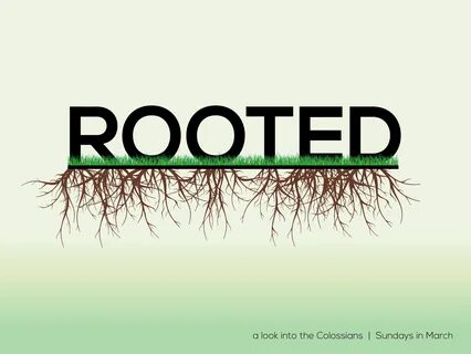 Rooted but not rooted