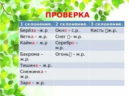 Склонения береза