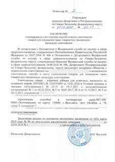 Решение государственного органа заключение