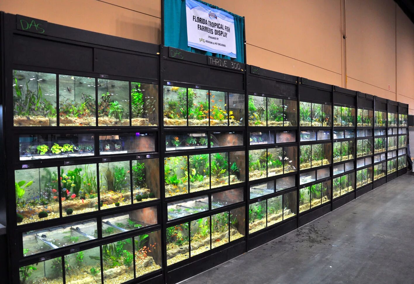 стеллаж для аквариума. стеллаж для аквариума. стеллаж для аквариума. стеллаж под аквариум. стеллаж под аквариум.