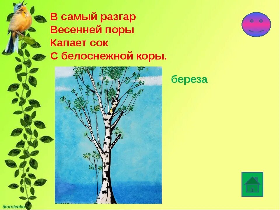 Загадки про весну средняя группа. Весенние загадки. Загадки про весну. Загадки с весной. Весенние загадки с иллюстрациями.