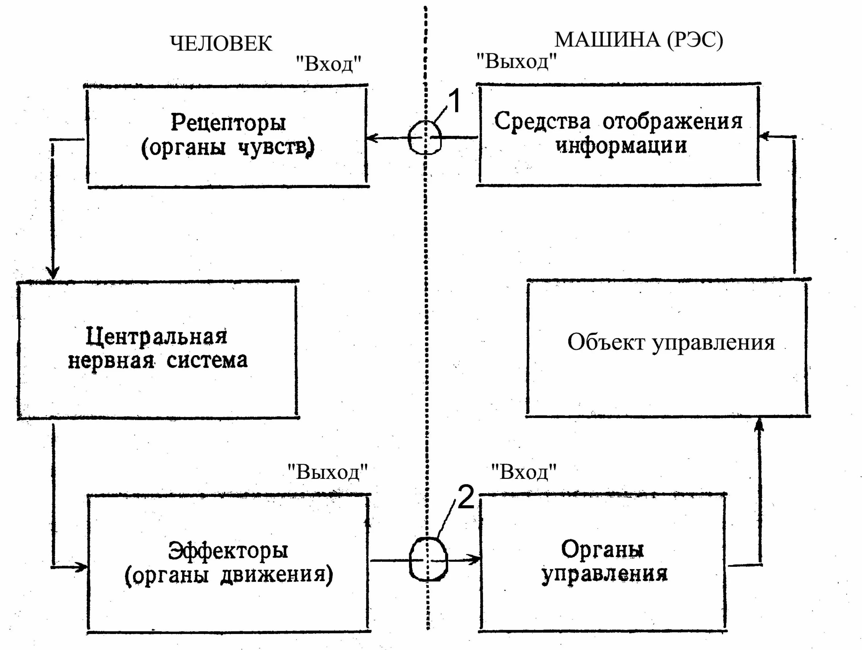 Структурная схема системы «человек-машина». СЧМ - система человек-машина. Структура системы «человек – машина». Схема системы человек машина.