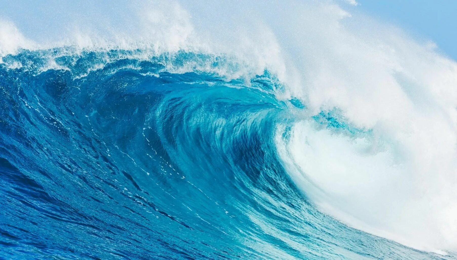 Wave is open