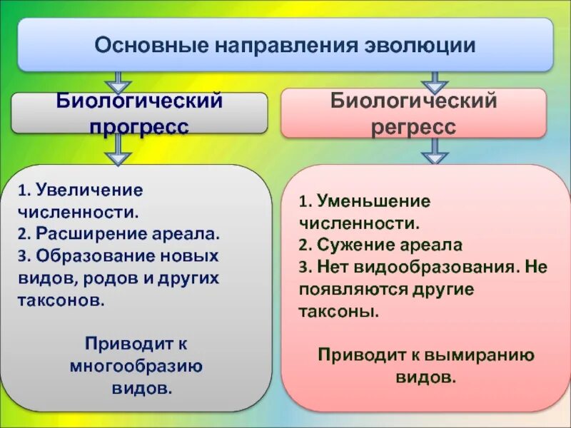 Основные направления эволюции. Основные направления эволюции животных. Основные направления эволюции регресс. Направление эволюции биологический Прогресс биологический регресс.