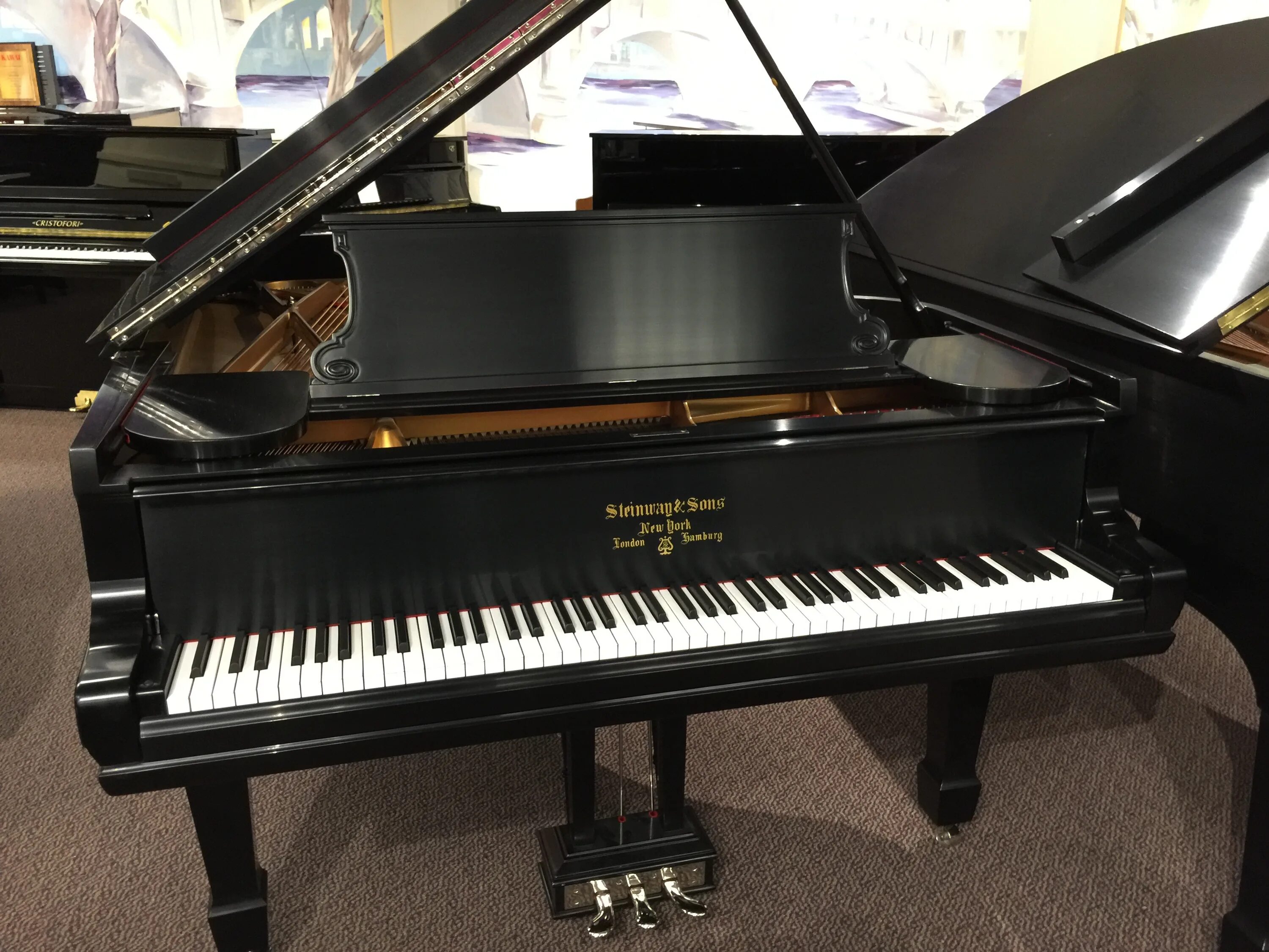 Рояль бронь. Steinway and sons рояль. рояль стейнвей модель b 19 века. steinway (music room grand модель b). 1900 steinway and sons.