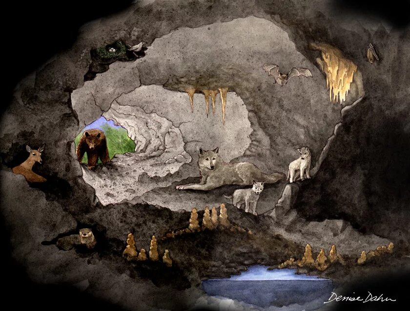 Украсить пещеру. Пещера для детей. Пещера иллюстрация. Пещера нарисованная. Пещера животных.