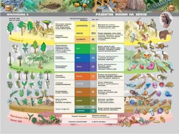 Геохронологическая шкала таблица биология. Геохронологическая таблица эволюции жизни на земле. Геохронологическая таблица эволюции животных. Геохронологическая шкала земли. Этапы развития жизни 9 класс биология таблица