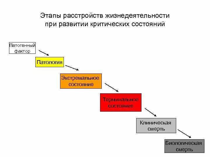 Терминальные состояния патофизиология. Экстремальные и терминальные состояния патофизиология. Патогенез терминальных состояний. Клиническая смерть патофизиология.