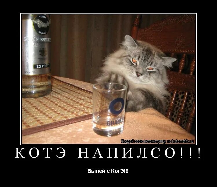 случайно выпил виагру. напиться с горя. вера смешные картинки. песня выпью с2н5он. песня выпью с2н5он.