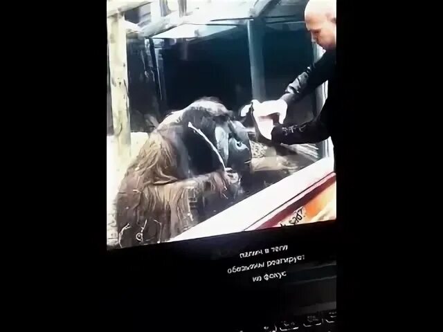 Долбил отец