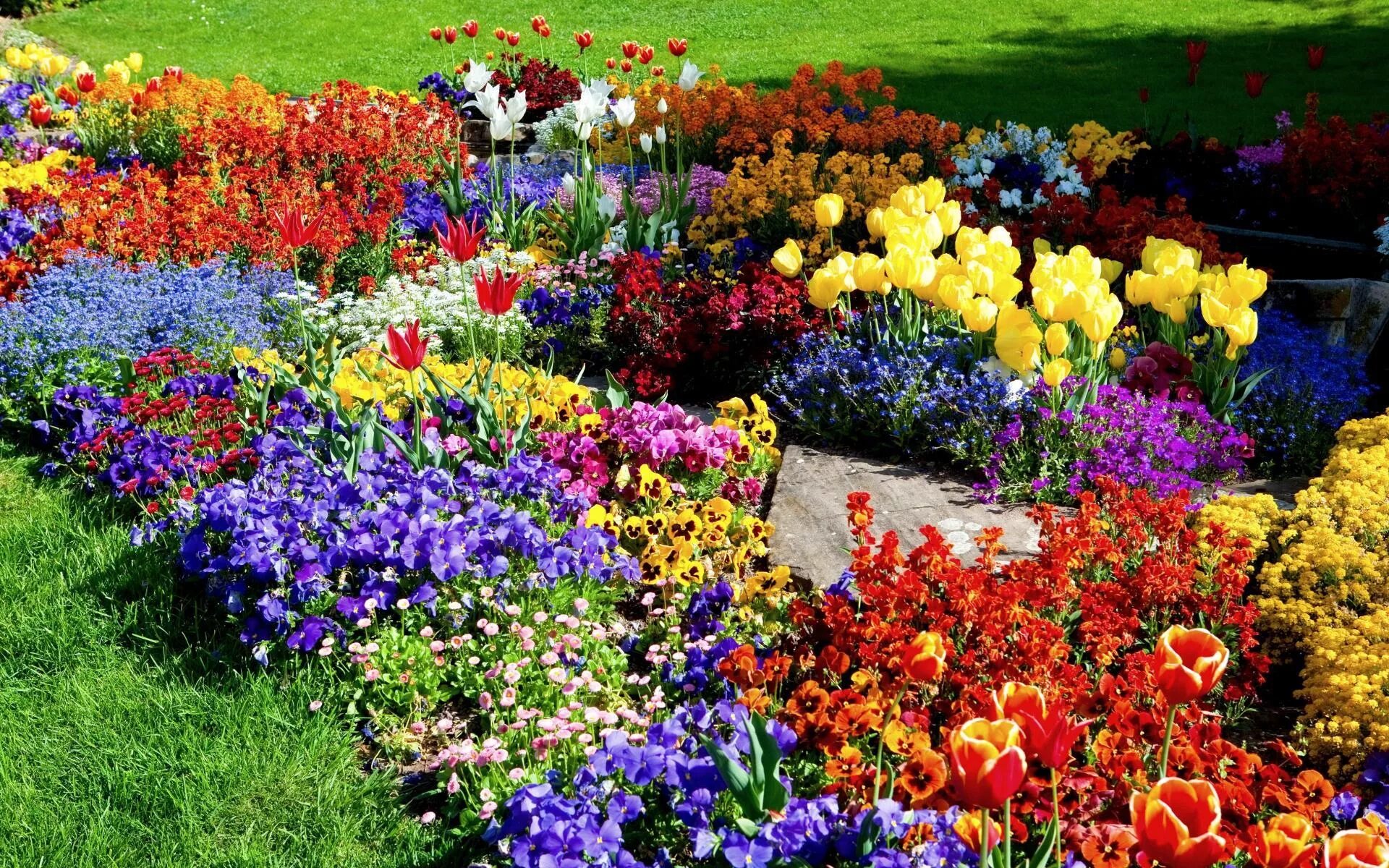 Garden flowers перевод. Рабатка с анютиными глазками. Кореопсис рабатка. Миксбордер многолетники двулетники однолетники. Рабатка Тунберга однолетник.