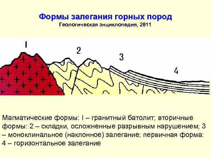 Форма залегания породы. Формы залегания осадочных горных пород. Выклинивание - первичная форма залегания магматических пород. Вторичные формы залегания горных пород. Схема складчатого залегания горных пород-.