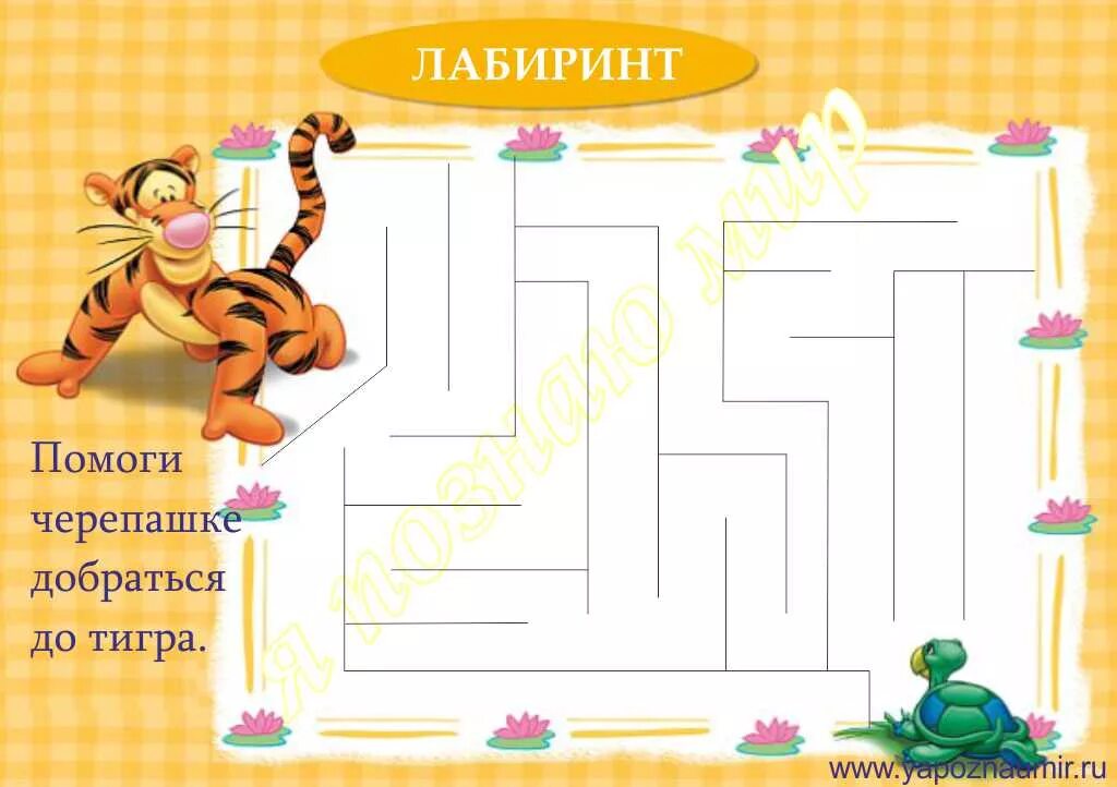 тайган сафари парк тигрята. помоги тигру. центр амурский тигр. помоги тигру. помоги тигру.