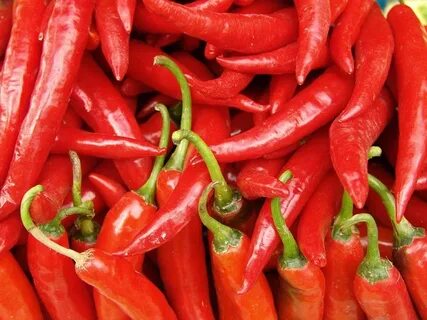 Форум chilli