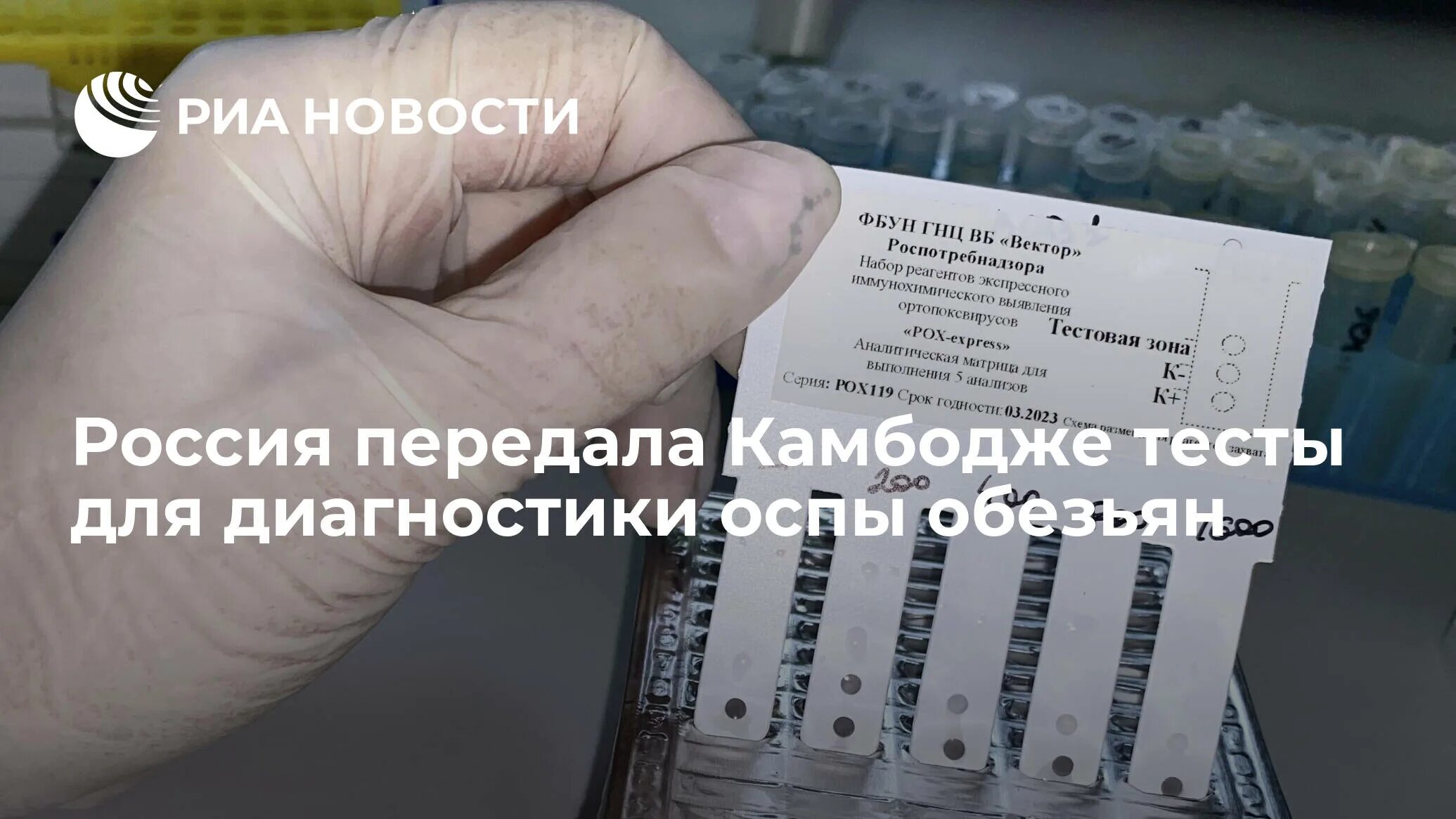 Оспа обезьян тесты ответы. Оспа обезьян роспотребнадзор. алгоритм клинической диагностики оспы обезьян.