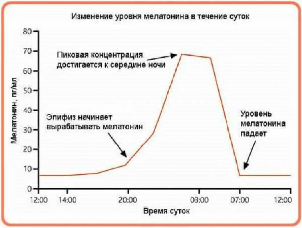 Мелатонин график выработки. График выработки гормонов в течение суток. График выработки мелатонина в течение суток. График выработки мелатонина по часам.