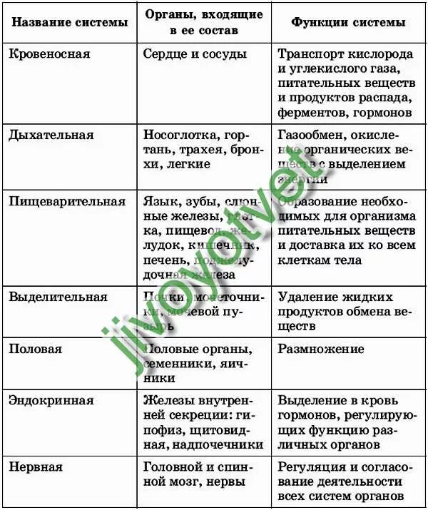 Таблица по биологии 6 класс строение и функции систем органов. Таблица по биологии система органов органы функции. Таблица по биологии 8 класс система органов органы функции таблица. Система органов органы функции таблица по биологии 7 класс. Системы органов человека состав и функции