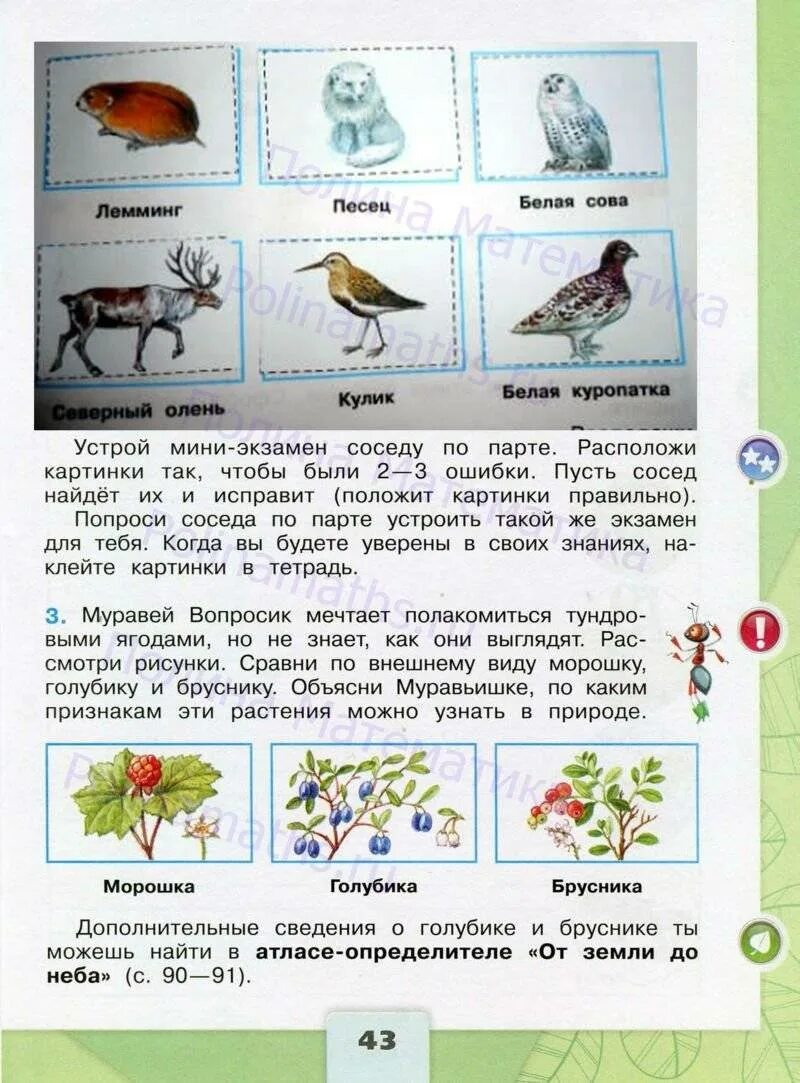 Фгос по окружающему миру 1 4 класс. Школа России окружающий мир рабочая. Рабочая тетрадь по окружающему миру 1 класс школа России. Окружающий мир 4 класс Плешаков школа России. Школа России окружающий мир рабочая тетрадь.