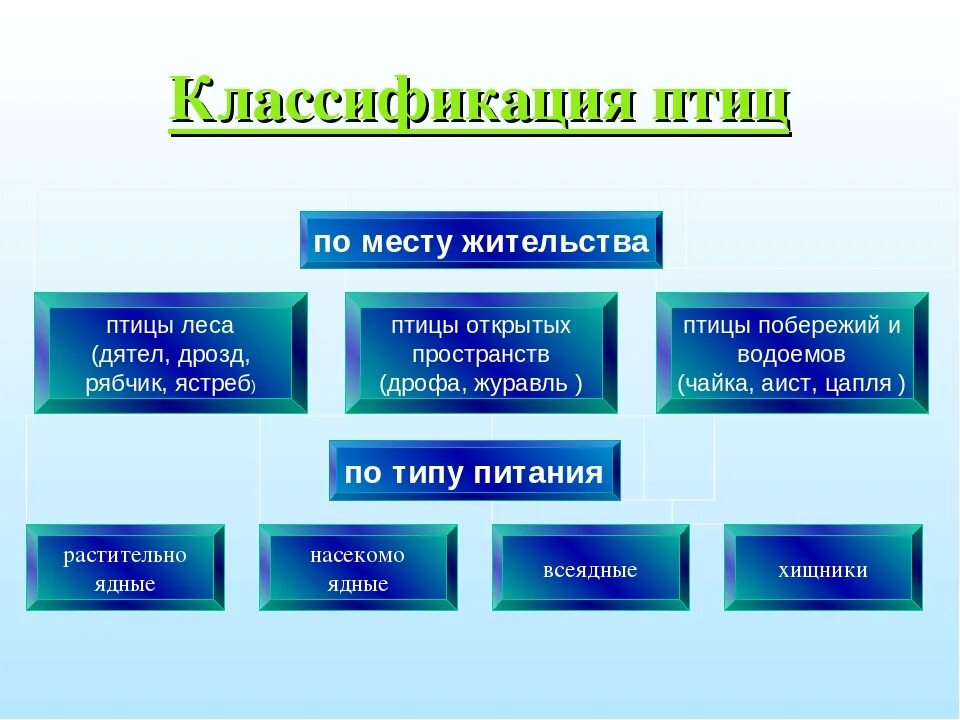 Экологические группы птиц по месту обитания таблица. Классификация птиц схема. Классификация птиц отряды. Систематика птиц. Классификация птиц таблица.