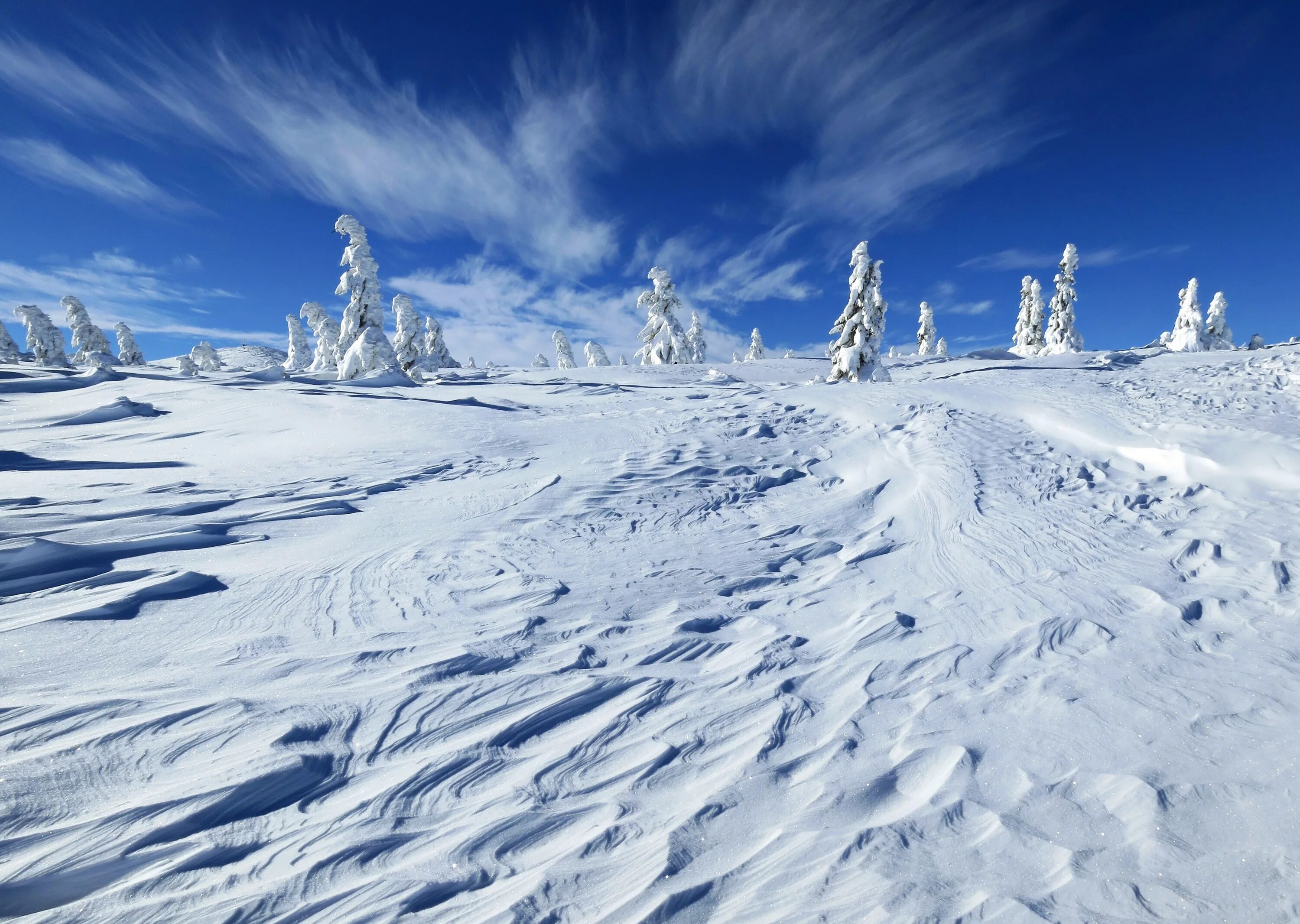 Snow sky