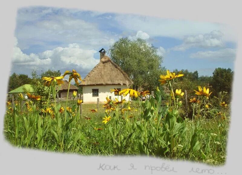 Казачий курень с подсолнухами. Курень, Донской казак, подсолнух, мельница,. Украинское село. Подсолнухи в деревне.