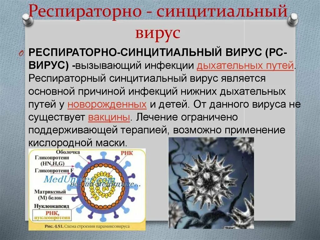 Респираторно-синцитиальная инфекция. Симптомы респираторно синцитиальной инфекции у детей. Респираторно синцитиальная инфекция клинические признаки. Респираторно-синцитиальный вирус рнк. Рс вирус у детей клинические рекомендации.