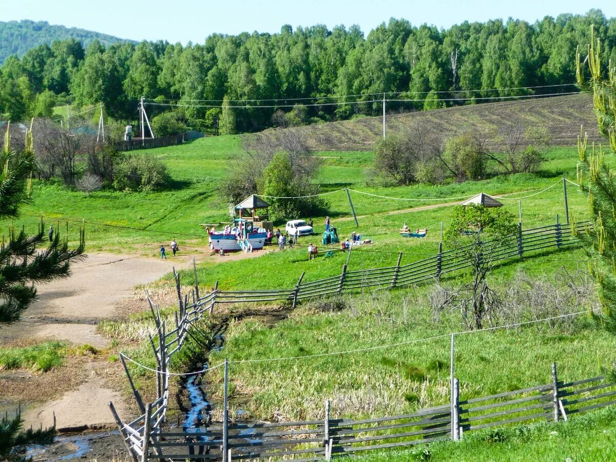 Погода в новозыково красногорского района. Киреево озеро Алтайский край. Озеро Киреево Красногорский район. Озеро Киреево Тайнинская Слобода. Озеро Киреево Красногорский район Алтайский край.