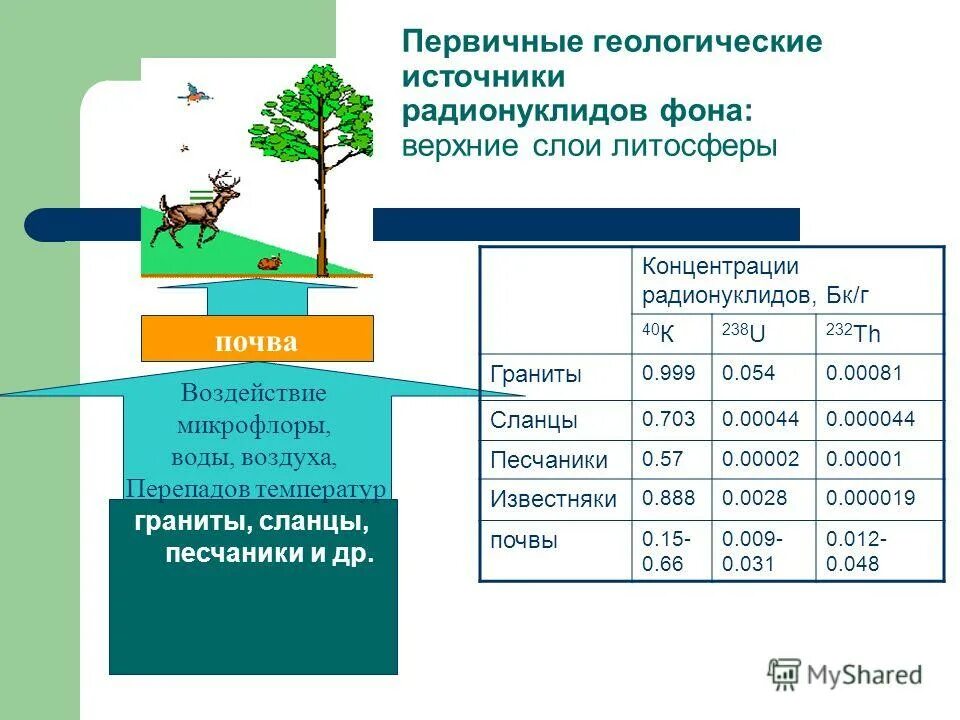 Радионуклиды в воде. Радионуклиды в почве. накопление радионуклидов в почвах и растениях. поведение радионуклидов в почве. поступление радионуклидов в почву.