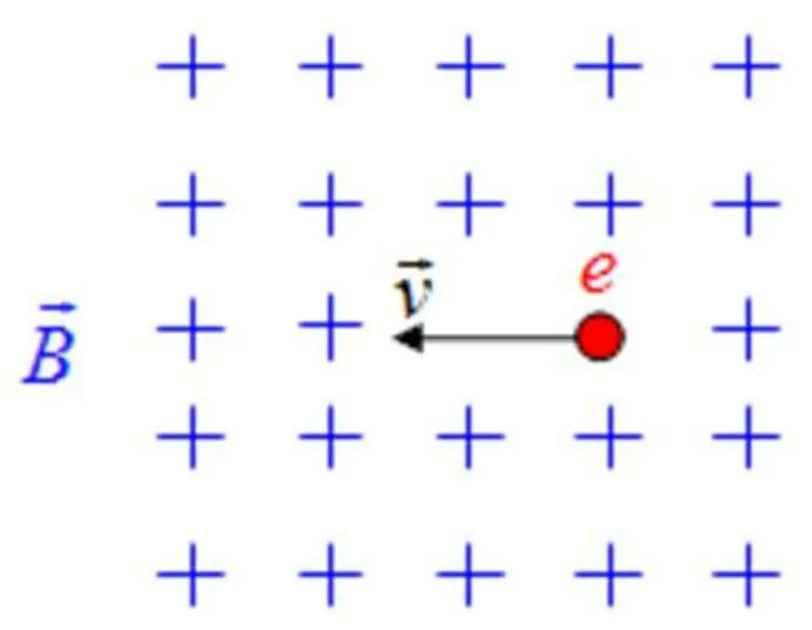 На рисунке изображена отрицательно заряженная частица. Частица в однородном магнитном поле. Заряженная частица в магнитном поле движется. Линия магнитной индукции направлены от наблюдателя. Частица движется в однородном магнитном поле.