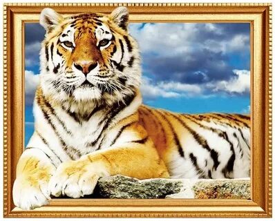 Tiger 40