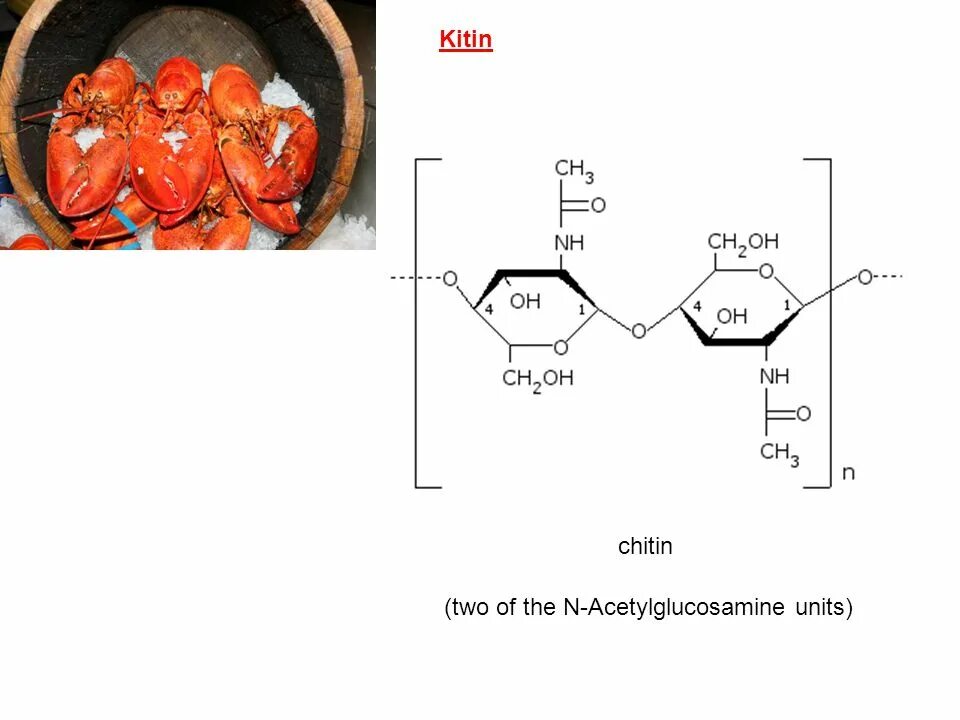 Мономер хитина. -KITIN-. Хитин в клеточной стенке. Степень деацетилирования хитина. Имеется клеточная стенка из хитина