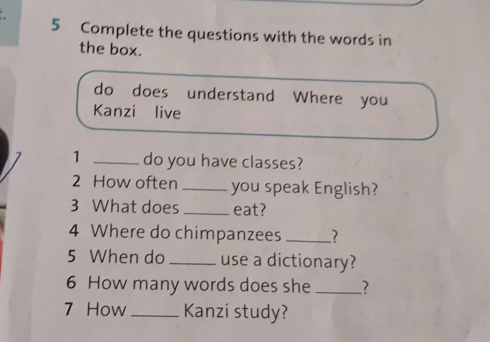 Задание по английскому complete the questions. Complete the questions with the question Words in the Box.