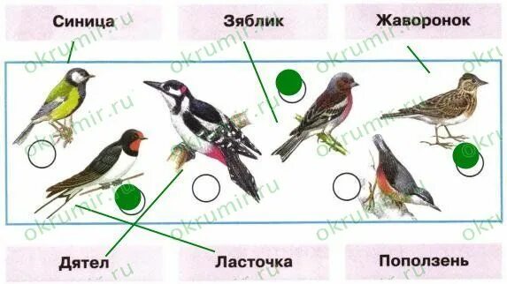 окружающий мир 1 класс как помочь птицам. окружающий мир 1 класс рабочая тетрадь ответы плешаков 1. задание по окружающему миру 1 класс птицы. знаешь ли ты названия этих птиц соедини линиями рисунки 1 класс. окружающий мир 1 класс рабочая тетрадь 1 часть стр 53.