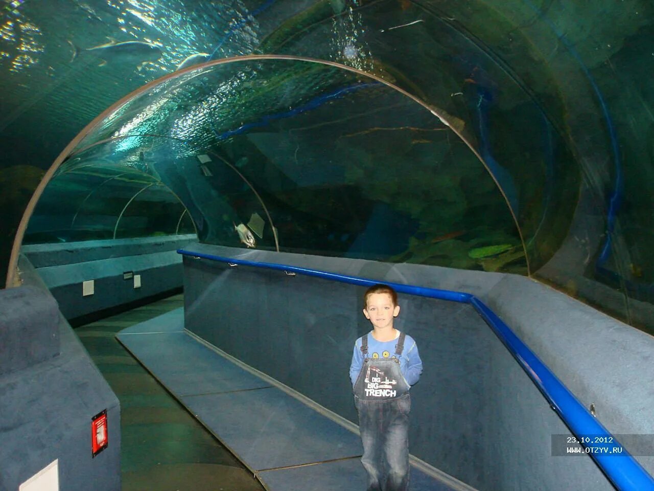 Морская жизнь (океанариум, сингапур). В астане открылся большой океанариум. Думан астана океанариум фото. Астана достопримечательности океанариум. Океанариум ailand.
