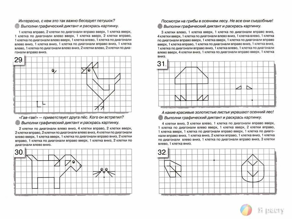 Подготовительная группа графическая математика. Графический диктант петух для дошкольников. Графический диктант для дошкольников гриб. Графический диктант грибок для дошкольников. Графический диктант петух для дошкольников 6-7 лет.