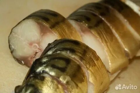 Копченая скумбрия рецепт холодного копчения