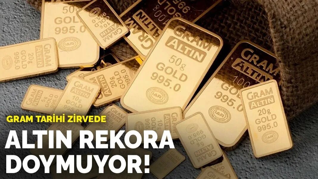 Gram mine. Gram mine. Altin. Gram mine. Грамотрицательные бактерии.
