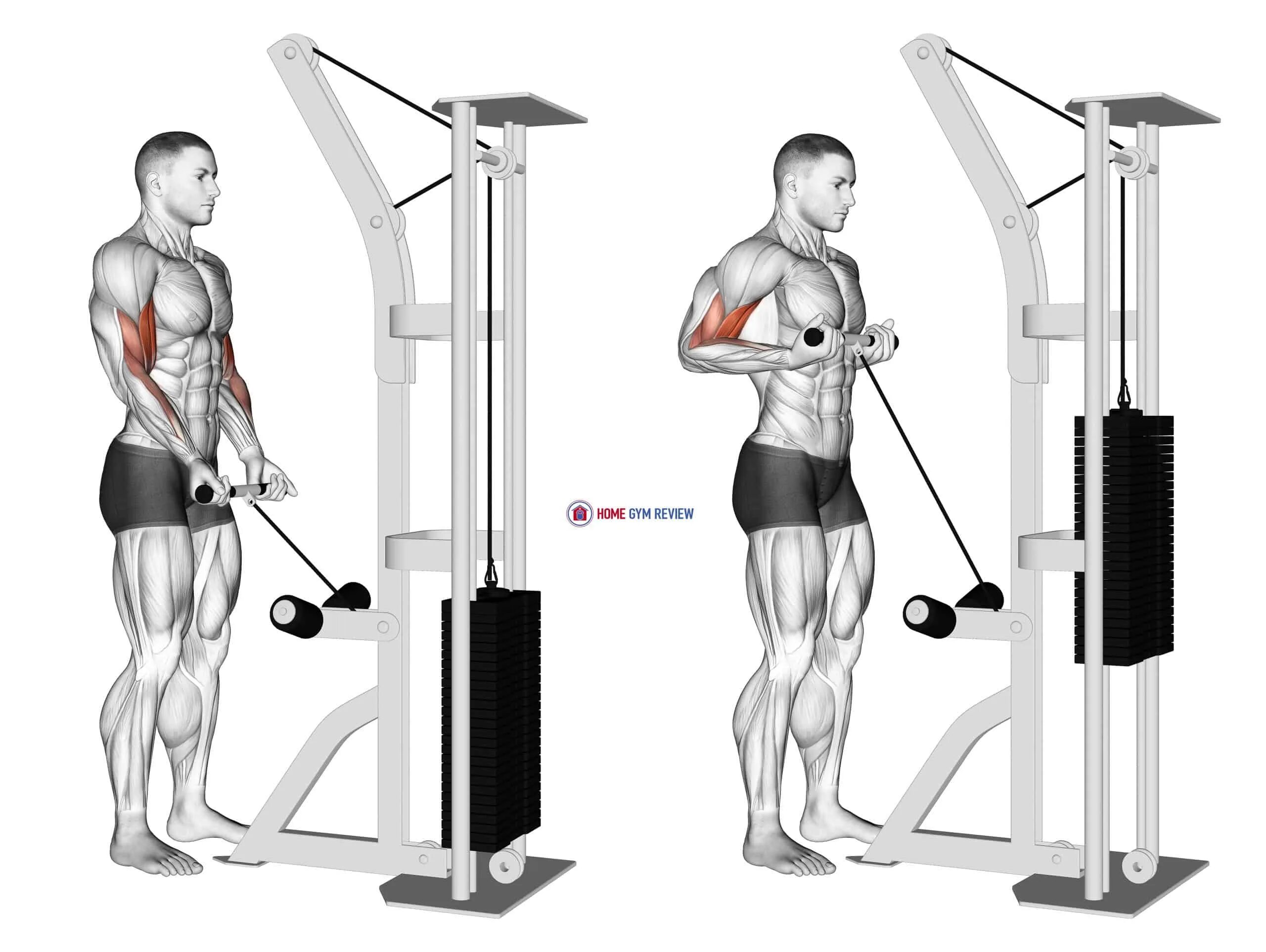 Кроссовер верхняя тяга. Dual Cable biceps Curl. Cable Barbell Curls. Тяга верхнего блока на бицепс. Упражнения на трицепс.