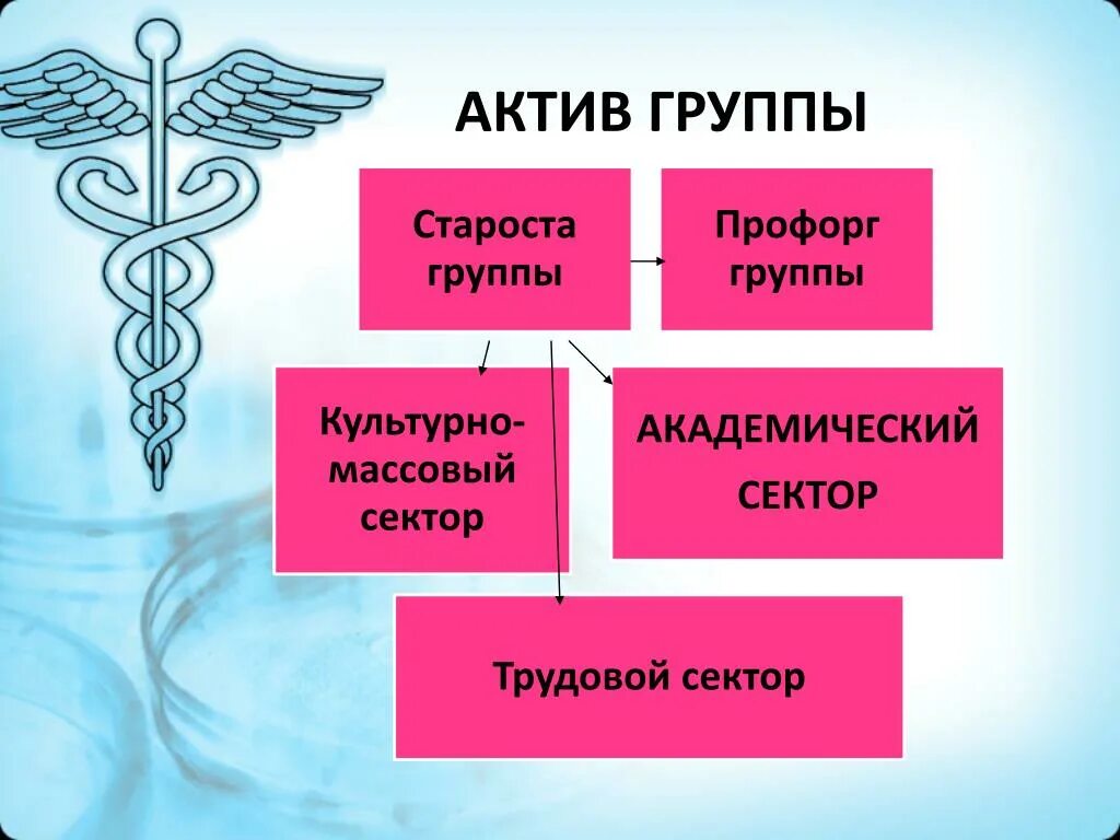 Актив групп. Актив группы. Актив группы картинки. Актив группы в колледже. Что такое учебный сектор в активе группы.