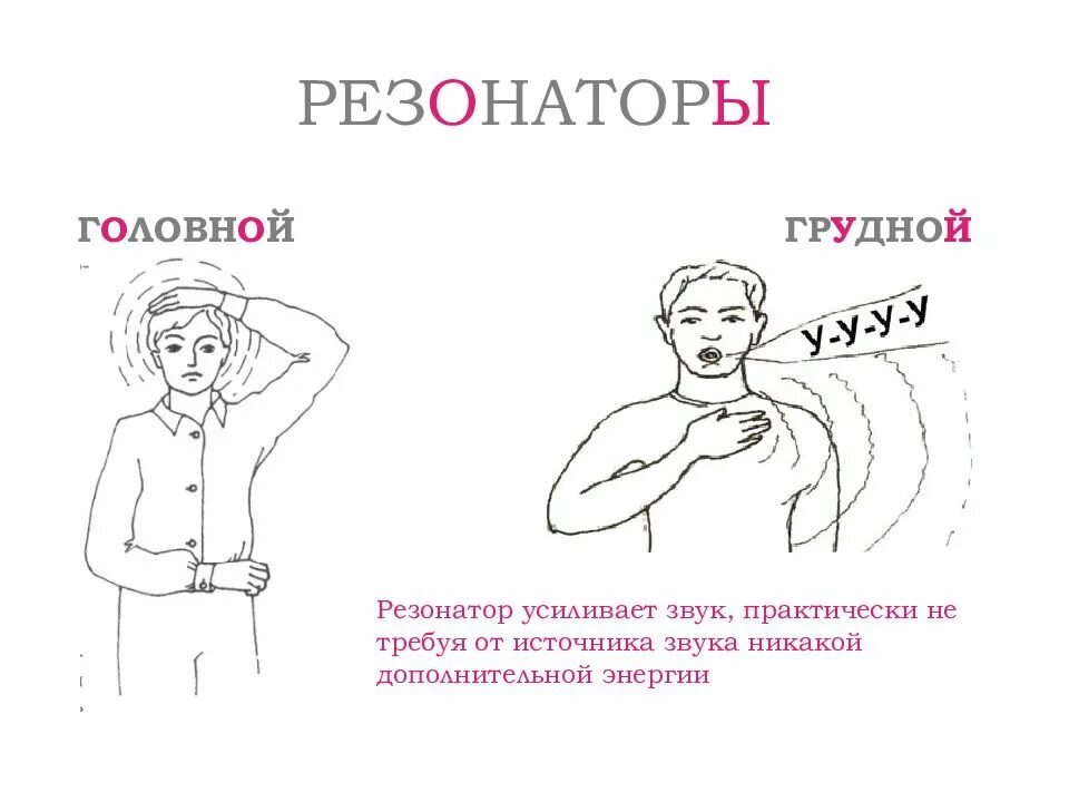 Нижние резонаторы. Резонаторы голосового аппарата. Грудной резонатор. Головной и грудной резонаторы. Головной голос это.