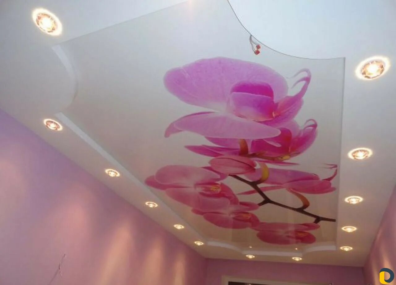 Сигма натяжные. Натяжной потолок с орхидеей. Натяжные потолки с фотопечатью Орхидея. Натяжные потолки с цветами. Натяжной потолок с рисунком орхидеи.