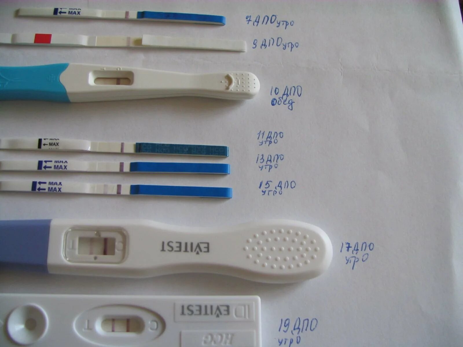 Результаты д теста. Струйный тест на беременность 10мме. Эвитест струйный на 10 ДПО. Эви тесты на беременность струйный. 10 ДПО струйный тест.