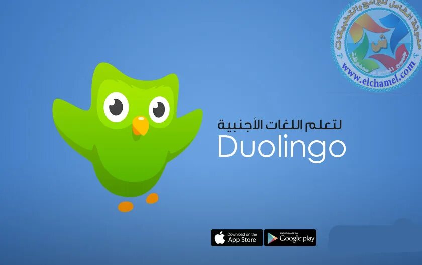 Дуолинго подарки. Duolingo приложение. Дуолинго подарки. Сова дуолинго. Дуолинго виджет.