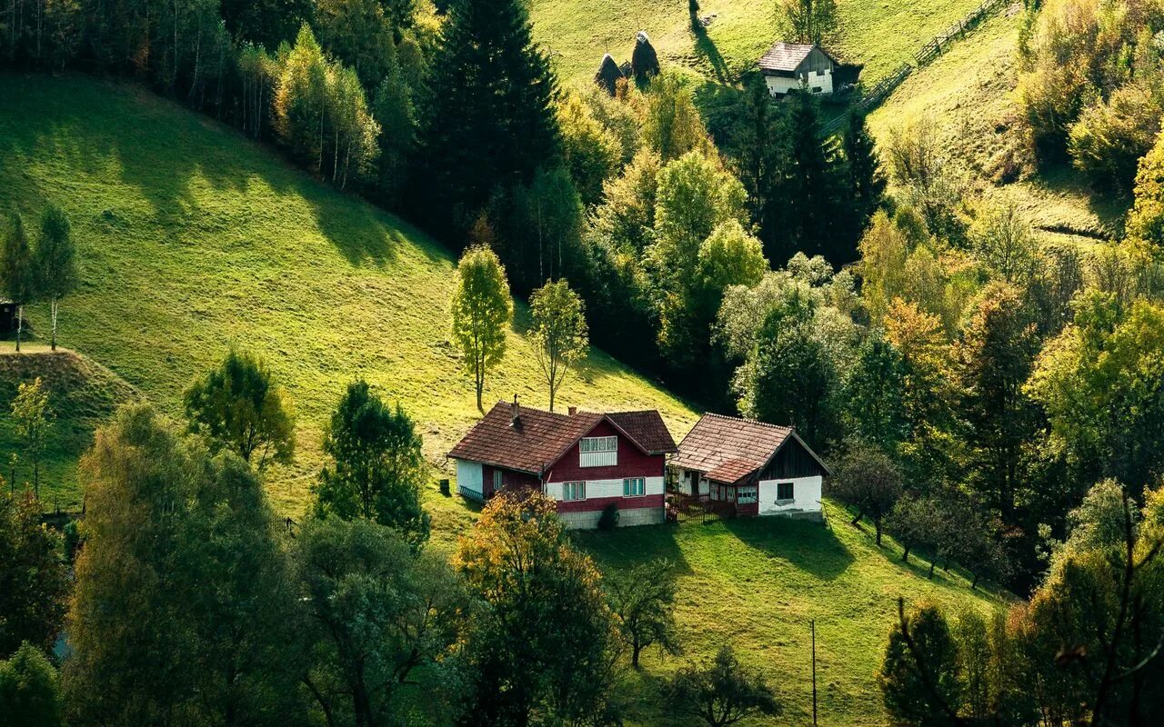 Деревня Карпаты Румыния. Домик в лесу. Деревня в лесу. Дом в лесу. Hills village