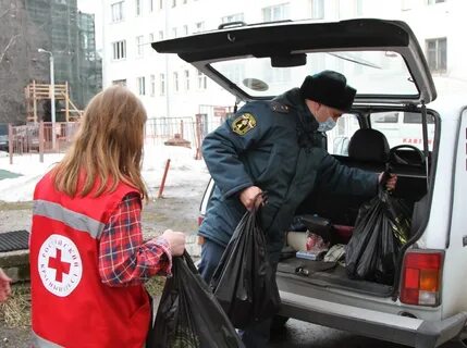 Помощь архангельск